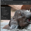 Adobe為網絡帶來了簡化的Photoshop