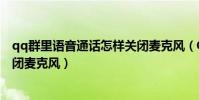 qq群里語音通話怎樣關閉麥克風(QQ群語音通話時怎么關閉麥克風)