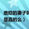 鹿晗的妻子叫什么名字（曝鹿晗秘密結婚生子是真的么）