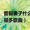 曾毅妻子什么職業啊（出演過多部電影也唱過很多歌曲）