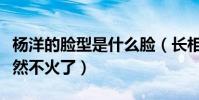 楊洋的臉型是什么臉(長相帥氣的他為什么突然不火了)