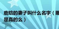 鹿晗的妻子叫什么名字(曝鹿晗秘密結婚生子是真的么)
