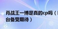 肖戰王一博是真的cp嗎(時隔一年或再度同臺備受期待)