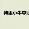 特里小牛奪冠數據（特里為什么離開小牛）