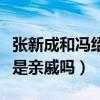 張新成和馮紹峰太像了（長相相似的兩個人會是親戚嗎）