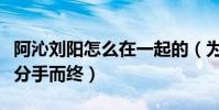 阿沁劉陽怎么在一起的(為什么五年戀情最終分手而終)