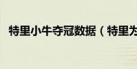 特里小牛奪冠數據(特里為什么離開小牛)