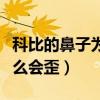 科比的鼻子為什么是高鼻梁（科比的鼻子為什么會歪）