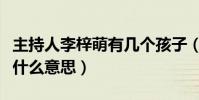 主持人李梓萌有幾個孩子(李梓萌貸款上班是什么意思)