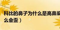 科比的鼻子為什么是高鼻梁(科比的鼻子為什么會歪)