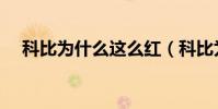 科比為什么這么紅(科比為什么這么紅)