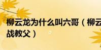 柳云龍為什么叫六哥(柳云龍為什么被稱作諜戰教父)