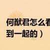 何猷君怎么看上奚夢瑤（兩個人到底是怎么走到一起的）
