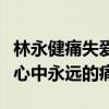 林永健痛失愛子是真的嗎（這個孩子是林永健心中永遠的痛）