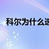 科爾為什么選擇勇士（科爾為什么去勇士）
