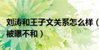 劉濤和王子文關系怎么樣(因合作相識的兩人被曝不和)