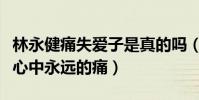 林永健痛失愛子是真的嗎(這個孩子是林永健心中永遠的痛)
