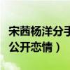 宋茜楊洋分手原因是什么（網曝楊洋方不同意公開戀情）
