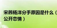 宋茜楊洋分手原因是什么(網曝楊洋方不同意公開戀情)