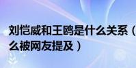 劉愷威和王鷗是什么關系(王鷗與劉愷威為什么被網友提及)