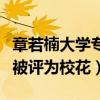 章若楠大學專業是什么（章若楠因為長相漂亮被評為校花）