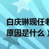 白慶琳現任老公叫什么（白慶琳與前夫離婚的原因是什么）