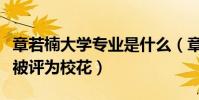 章若楠大學專業是什么(章若楠因為長相漂亮被評為校花)