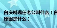 白慶琳現任老公叫什么(白慶琳與前夫離婚的原因是什么)