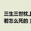三生三世枕上書阿蘭若夢境是怎么回事（阿蘭若怎么死的）