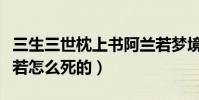 三生三世枕上書阿蘭若夢境是怎么回事(阿蘭若怎么死的)