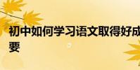 初中如何學習語文取得好成績學習這幾點很重要