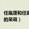 任胤蓬和任胤菘什么關系（任胤蓬的顏值非常的呆萌）