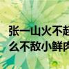 張一山火不起來是真的么（現在的張一山為什么不敵小鮮肉）