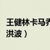 王健林卡馬喬高洪波（王健林為什么要撤掉高洪波）