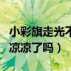 小彩旗走光不道歉網友譴責（童星小彩旗真的涼涼了嗎）