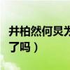 井柏然何炅為啥那么（井柏然與何炅是在一起了嗎）