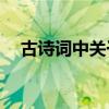 古詩詞中關于中秋節有哪些優美的詞語？
