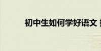 初中生如何學好語文 提高成績?