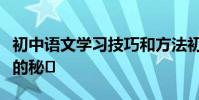 初中語文學習技巧和方法初中生一定知道高分的秘?