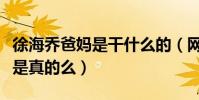 徐海喬爸媽是干什么的(網曝徐海喬家世強大是真的么)