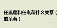 任胤蓬和任胤菘什么關系(任胤蓬的顏值非常的呆萌)