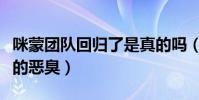 咪蒙團隊回歸了是真的嗎(網友直言還是原來的惡臭)