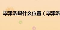 畢津浩踢什么位置(畢津浩 為什么不出場)