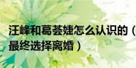 汪峰和葛薈婕怎么認識的(汪峰和葛薈婕為啥最終選擇離婚)