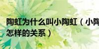 陶虹為什么叫小陶虹(小陶虹和大陶虹究竟是怎樣的關系)