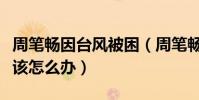 周筆暢因臺風被困(周筆暢發微博求助網友應該怎么辦)