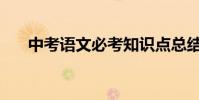 中考語文必考知識點總結一定要收集!