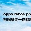 oppo reno4 pro和opporeno6pro（OPPOReno4系列新機現身關于這款新機目前曝光了哪些信息）