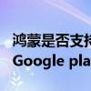 鴻蒙是否支持google play（鴻蒙系統可以用Google play嗎）