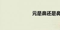 元是鼻還是鼻?